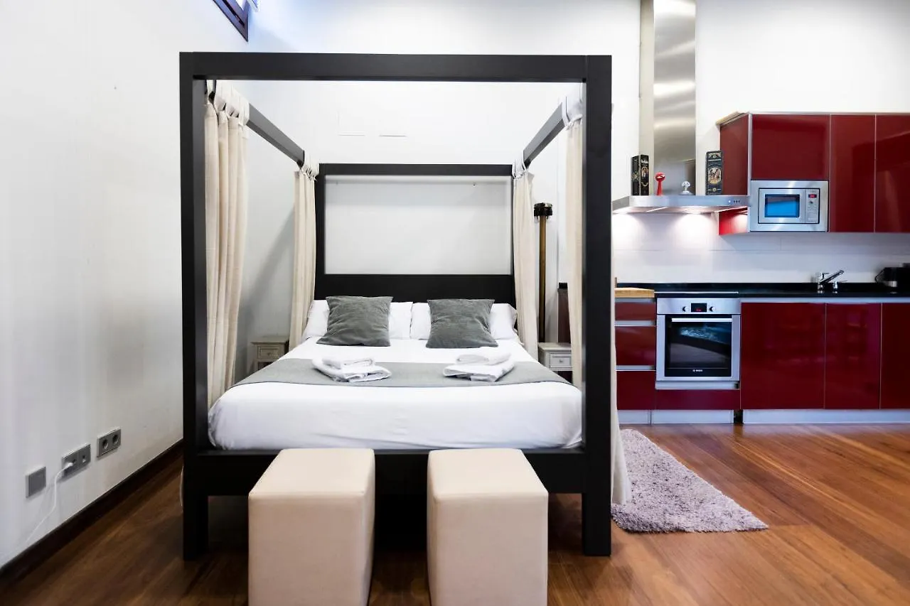Loft By Basquelidays Apartment Hondarribia Spain